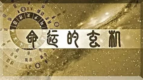 女命將星|「八字入門」八字神煞解析：將星